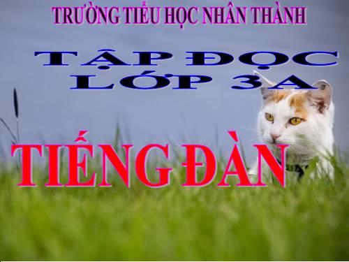 Tuần 24. Tiếng đàn