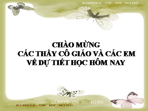 Số học 6. Chương I. §13. Ước và bội