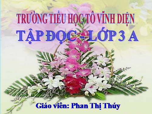 Tuần 13. Cửa Tùng