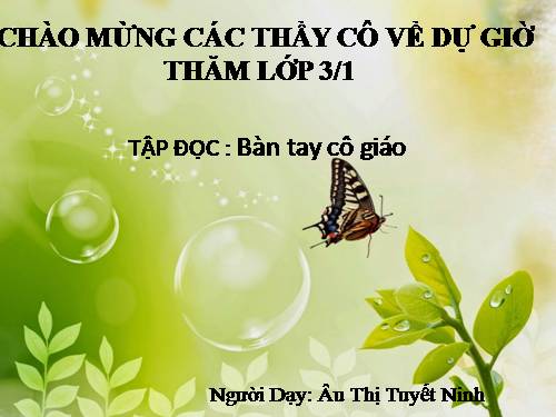 Tuần 21. Bàn tay cô giáo