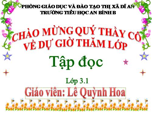 Tuần 13. Cửa Tùng