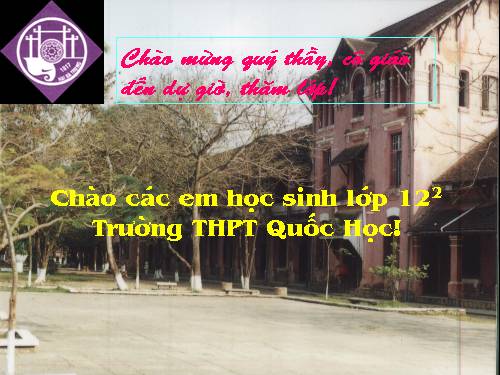 Bài soạn thi cấp tỉnh