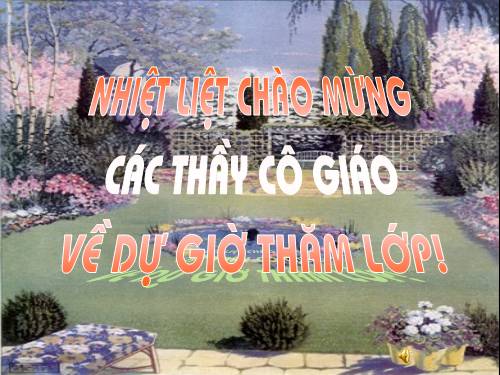 OT Đồ thị hàm số