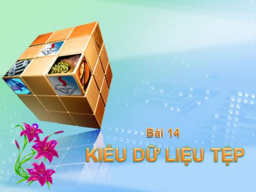 Bài 14. Kiểu dữ liệu tệp