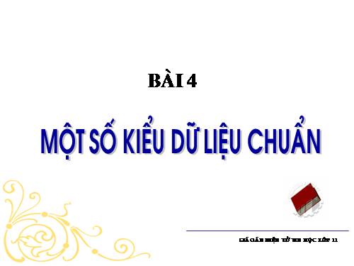 Bài 4. Một số kiểu dữ liệu chuẩn