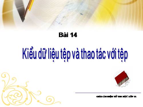 Bài 14. Kiểu dữ liệu tệp