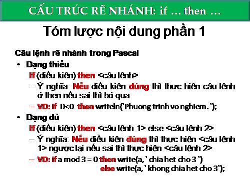 Bài 9. Cấu trúc rẽ nhánh