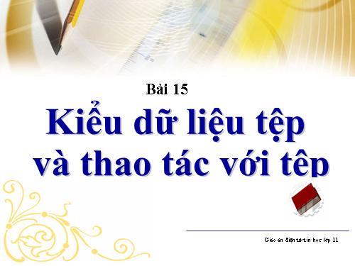 Bài 14. Kiểu dữ liệu tệp