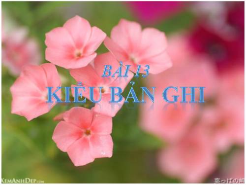 Bài 13. Kiểu bản ghi