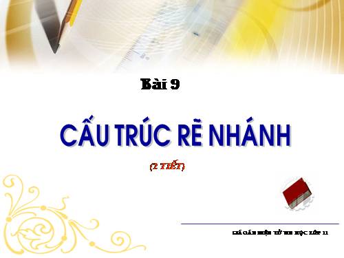 Bài 9. Cấu trúc rẽ nhánh