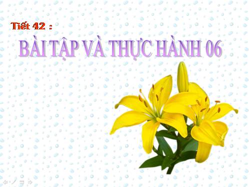 Bài tập và thực hành 6