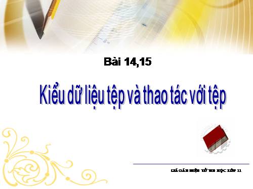 Bài 14. Kiểu dữ liệu tệp