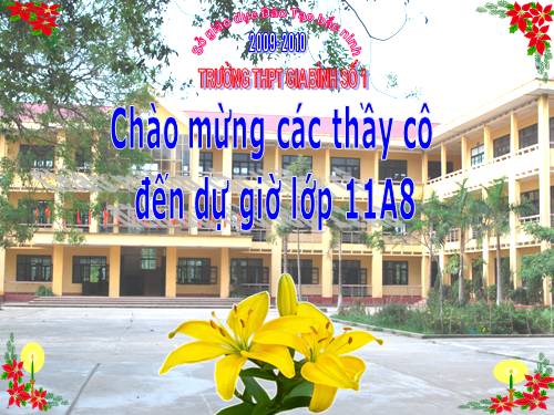 Cấu trúc rẽ nhánh