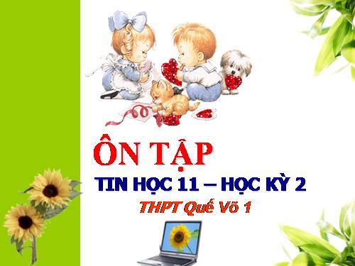 Ôn tập học kì 2 tin 11