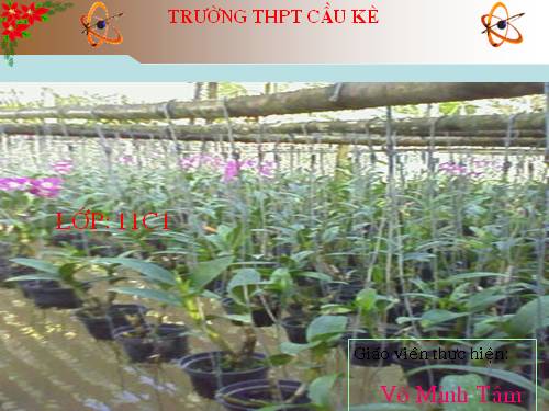 Bài 17. Chương trình con và phân loại