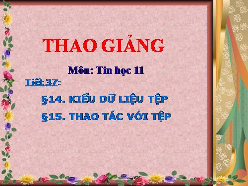 Bài 14. Kiểu dữ liệu tệp