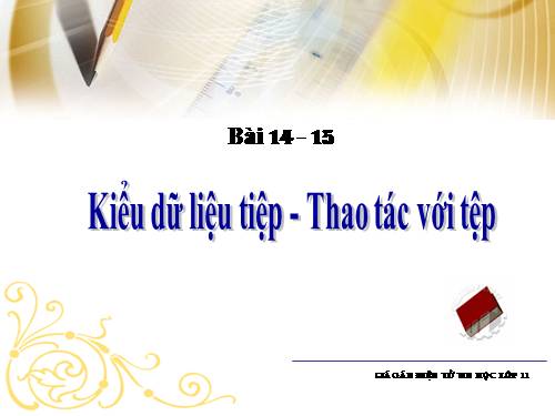 Bài 14. Kiểu dữ liệu tệp