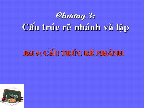 Bài 9. Cấu trúc rẽ nhánh