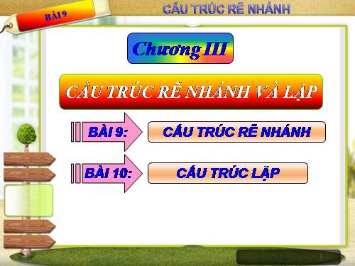 Bài 9. Cấu trúc rẽ nhánh