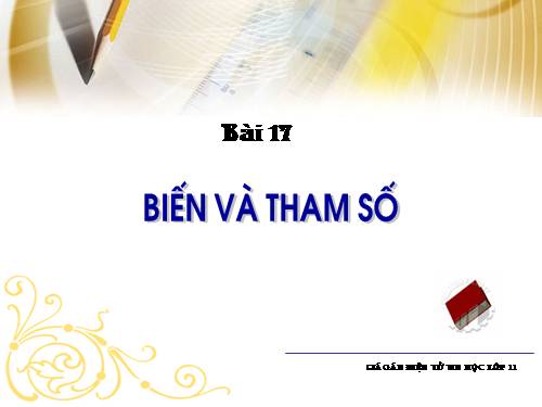 Bài 17.2 biến Tham số