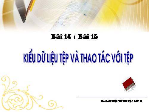 Bài 14. Kiểu dữ liệu tệp