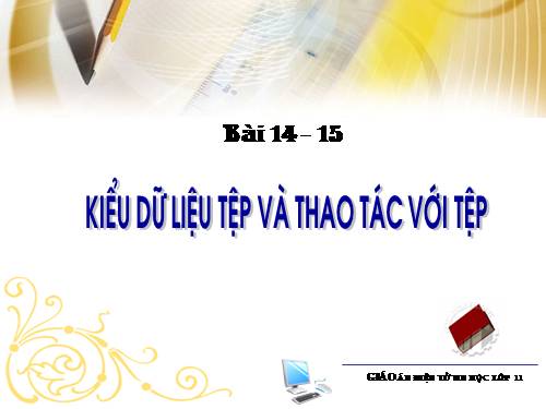 Bài 14. Kiểu dữ liệu tệp