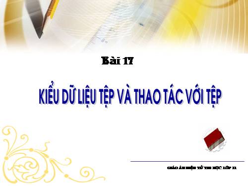 Bài 14. Kiểu dữ liệu tệp