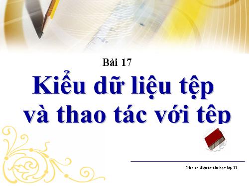 Bài 14. Kiểu dữ liệu tệp