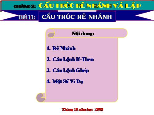 Bài 9. Cấu trúc rẽ nhánh