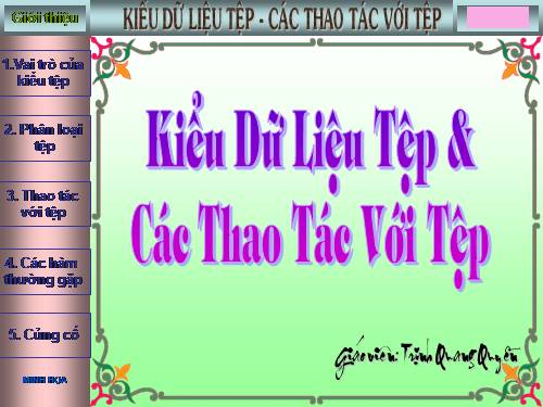 Bài 14. Kiểu dữ liệu tệp