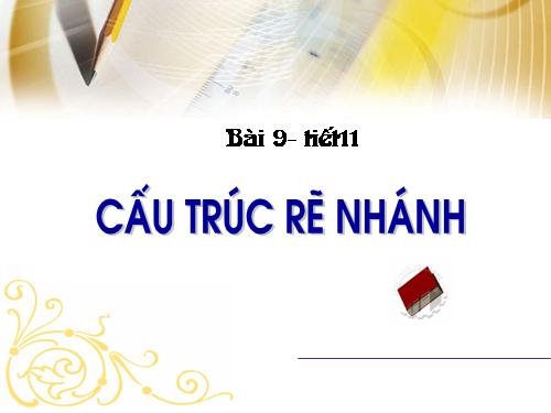 Bài 9. Cấu trúc rẽ nhánh