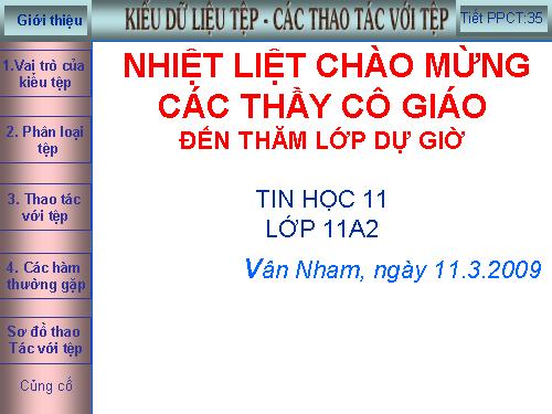 Bài 14. Kiểu dữ liệu tệp