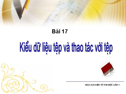 Bài 14. Kiểu dữ liệu tệp