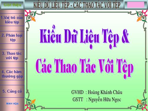 Bài 14. Kiểu dữ liệu tệp