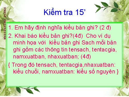 Đề kiểm tra 15'  ( Kiểu bản ghi)