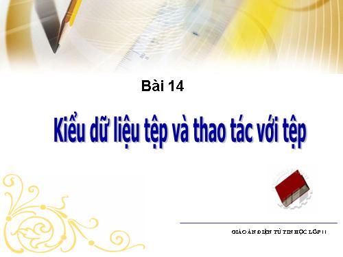 Bài 14. Kiểu dữ liệu tệp