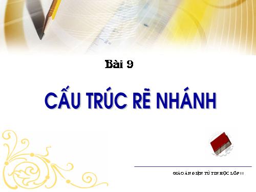 Bài 9. Cấu trúc rẽ nhánh