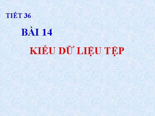 Bài 14. Kiểu dữ liệu tệp