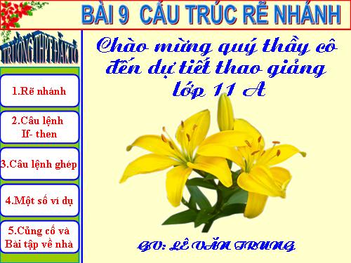 Bài 9. Cấu trúc rẽ nhánh