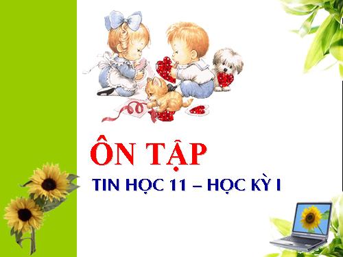 Ôn tập HKI