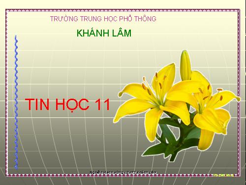 Bài 9. Cấu trúc rẽ nhánh