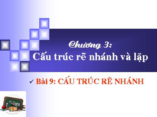 Bài 9. Cấu trúc rẽ nhánh