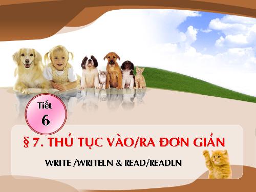 Bài 7. Các thủ tục chuẩn vào/ra đơn giản