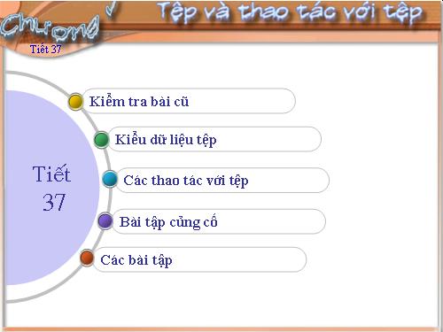 Bài 14. Kiểu dữ liệu tệp