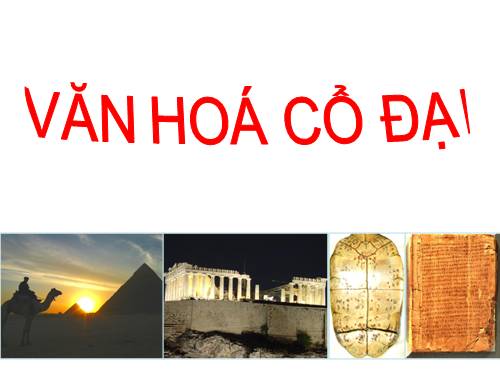 Bài 6. Văn hoá cổ đại