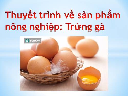 Bài 43. Bảo quản thịt, trứng, sữa và cá