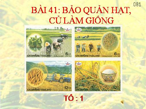 Bài 41. Bảo quản hạt, củ làm giống