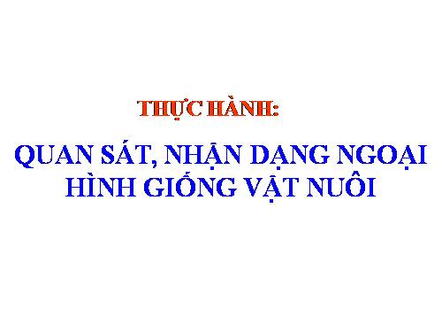 Bài 24. Thực hành: Quan sát, nhận dạng ngoại hình giống vật nuôi