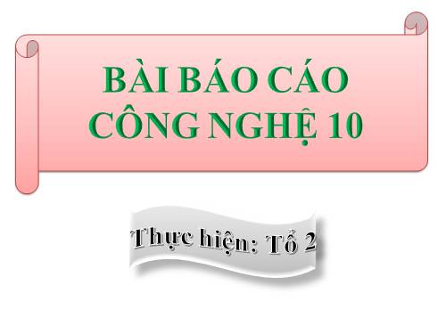 Bài 4. Sản xuất giống cây trồng (tiếp theo)