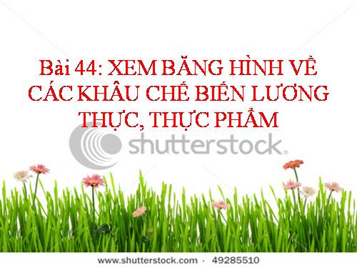 Bài 44. Chế biến lương thực, thực phẩm